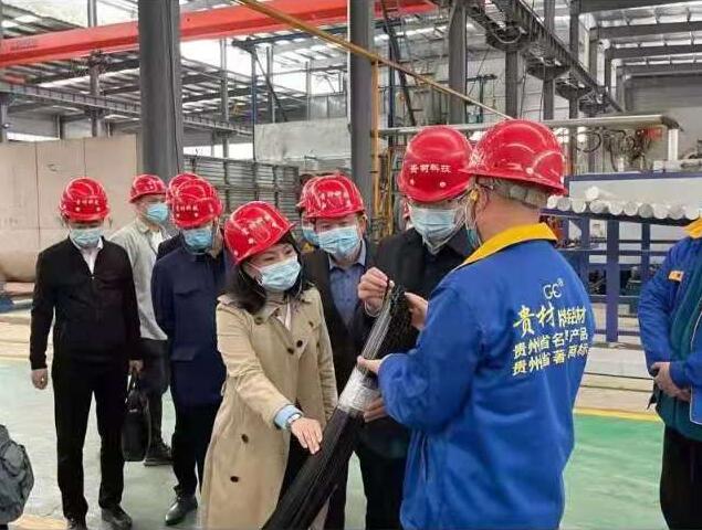 貴陽市常委、市工商聯(lián)、廣東總商會一行到我廠調(diào)研